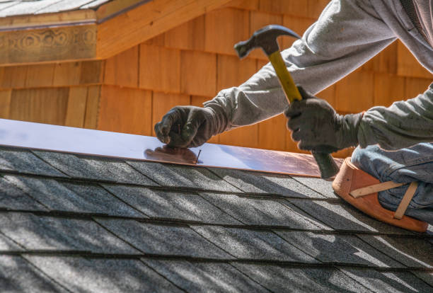 Best Gutter Installation and Repair  in Danville, VA