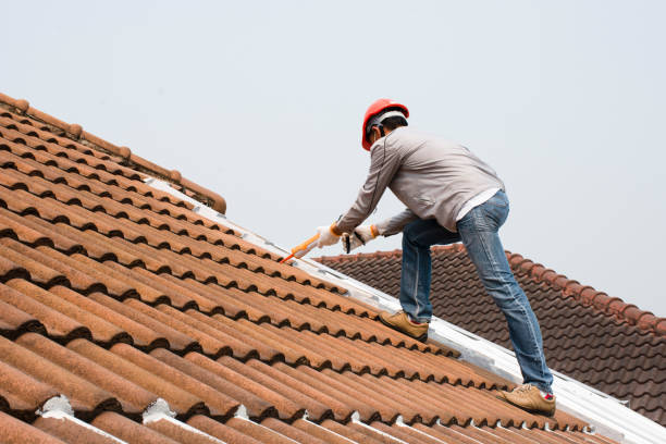 Best Rubber Roofing (EPDM, TPO)  in Danville, VA