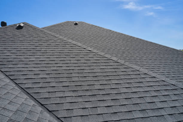 Best Rubber Roofing (EPDM, TPO)  in Danville, VA