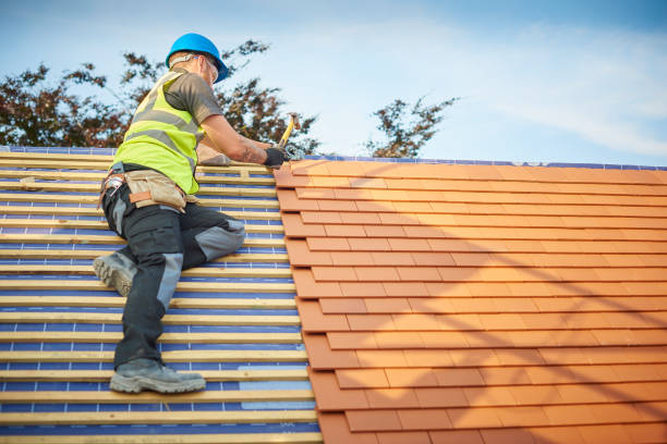 Best Sheet Metal Roofing  in Danville, VA